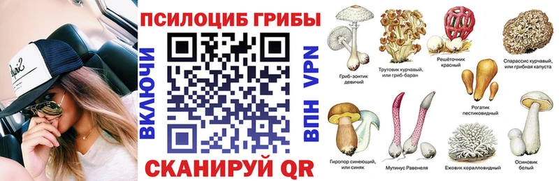 Псилоцибиновые грибы Psilocybine cubensis  Купить закладки  Сыктывкар 